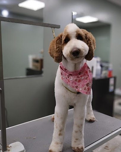 Dog day care in Canton South Dakota Precious Pets Country Resort 1