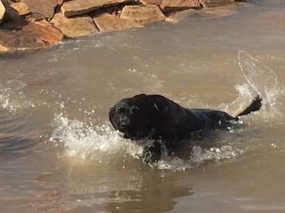 Dog day care in Canyon Texas Critter Camp Pet Resort 1