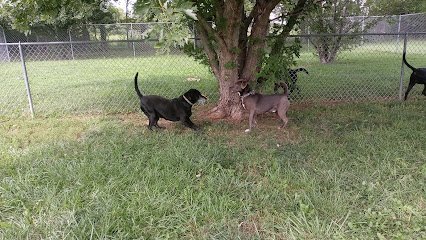 Dog day care in Carbondale Kansas Bo s Country Kennel 1
