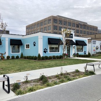 Dog day care in Carmel Indiana Happy Dog Hotel Spa 1