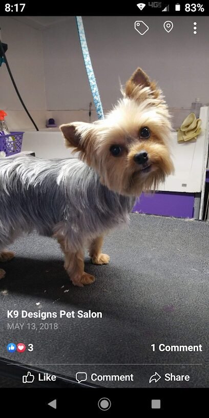 Dog day care in Carrollton Georgia K9 Designs