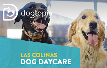 Dog day care in Carrollton Texas Dogtopia of Las Colinas 1