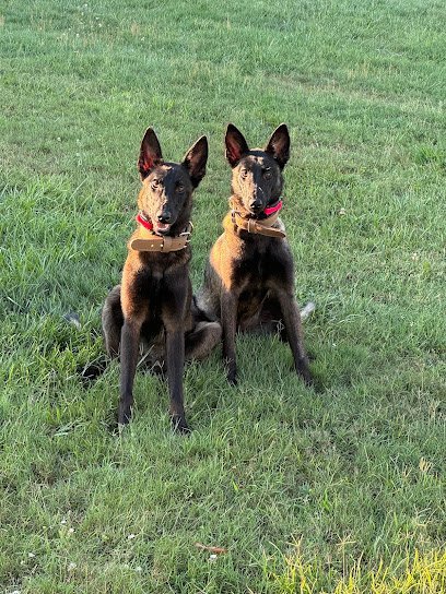 Dog day care in Carthage North Carolina Deer Creek Farm 1