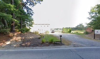 Dog day care in Carver Massachusetts Auntie Steph s Doggie Daycare 1