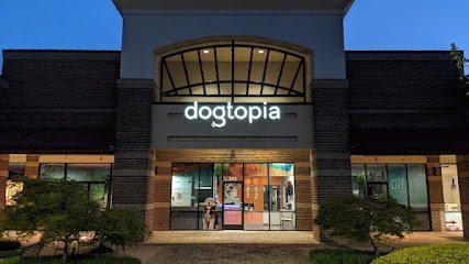 Dog day care in Cary North Carolina Dogtopia of Harrison Ave 1