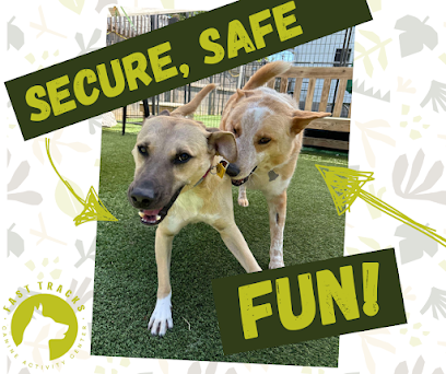 Dog day care in Cedar Falls Iowa Fast Tracks Canine Activity Center 1