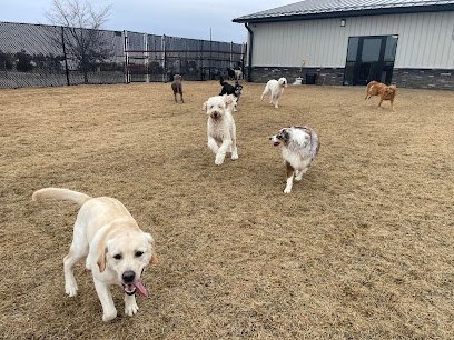 Dog day care in Cedar Rapids Iowa Eastern Iowa Pet Resort 1