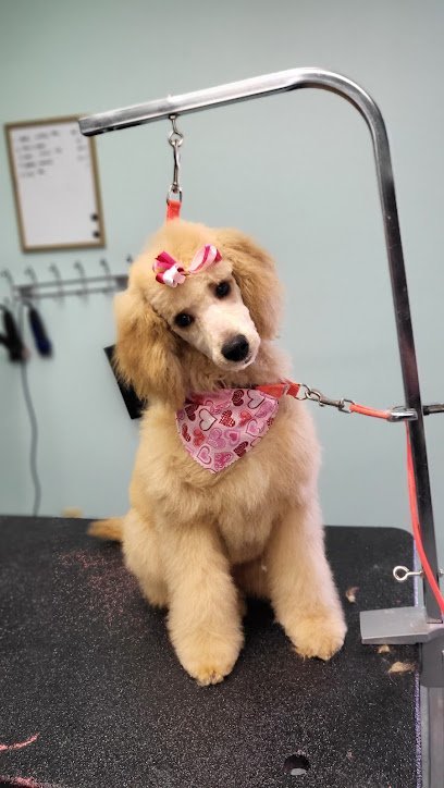 Dog day care in Centerville Ohio House of Paws 1