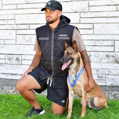 Dog day care in Central Square New York Jocko s Ruff House 1