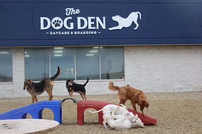 Dog day care in Champaign Illinois The Dog Den 1
