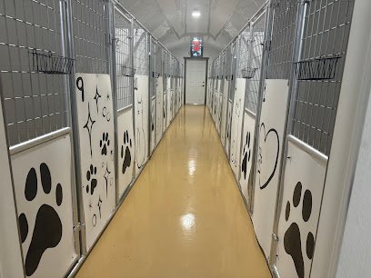 Dog day care in Charleston Illinois All Paws Inn 1