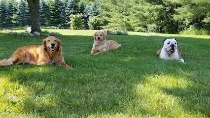 Dog day care in Charlevoix Michigan Little Farm Days 1