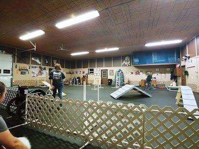 Dog day care in Charlotte Michigan K 9 Connection Dog Training 1