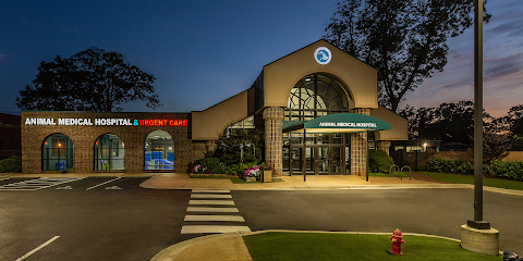 Dog day care in Charlotte North Carolina Animal Medical Hospital Urgent Care 1