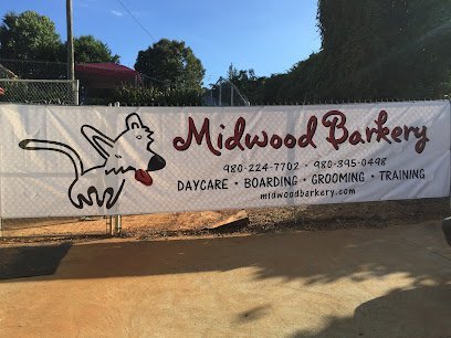 Dog day care in Charlotte North Carolina Midwood Barkery 1