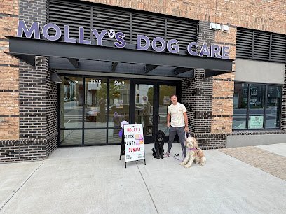 Dog day care in Charlotte North Carolina Molly s Dog Care Charlotte South End 1