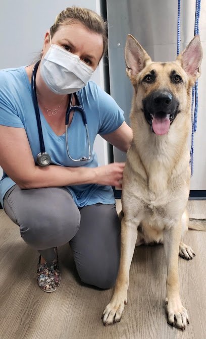 Dog day care in Charlotte North Carolina River Run Animal Hospital 1