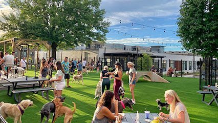 Dog day care in Charlotte North Carolina Skiptown 1