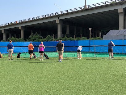 Dog day care in Charlotte North Carolina Star Dog 1