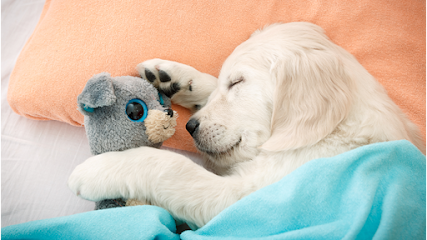 Dog day care in Charlton Massachusetts The Barkwood Inn Pet Resort 1