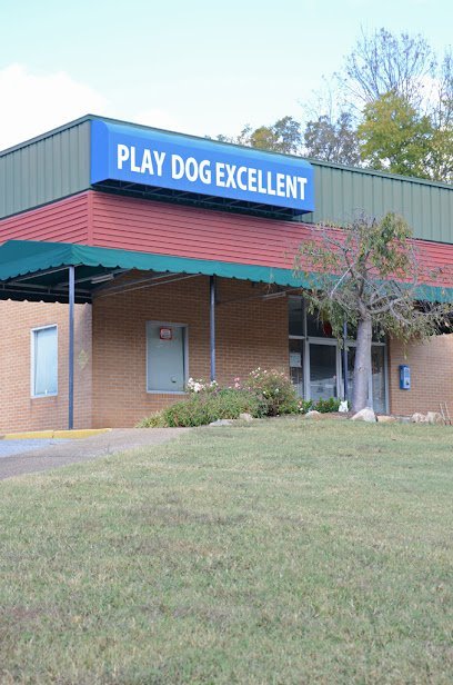 Dog day care in Chattanooga Tennessee Play Dog Excellent 1