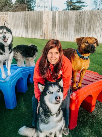 Dog day care in Chattanooga Tennessee The Ark Pet Spa Hotel East Brainerd 1