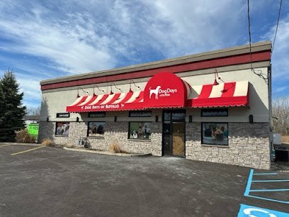 Dog day care in Cheektowaga New York Dog Days of Buffalo Genesee St  1
