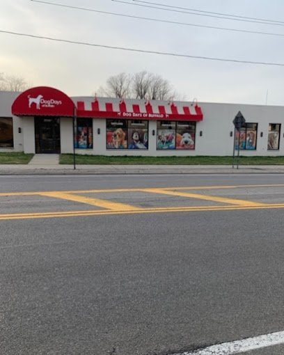 Dog day care in Cheektowaga New York Dog Days of Buffalo Harlem Road 1