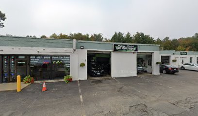 Dog day care in Chelmsford Massachusetts Boston Dog Company 1