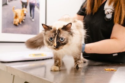 Dog day care in Cherry Hill Township New Jersey Heart Paw 1