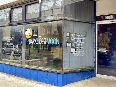 Dog day care in Chicago Illinois Barkside of the Moon 1