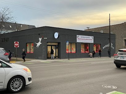 Dog day care in Chicago Illinois Barksville 1