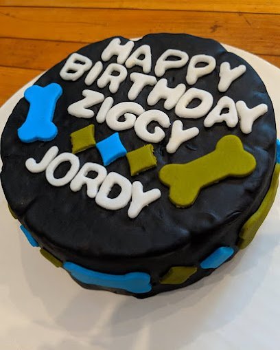 Dog day care in Chicago Illinois Bow Wow Meow Purrfessional Petcare 1