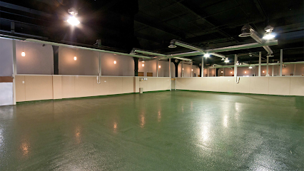 Dog day care in Chicago Illinois Dog. Hotel   Daycare 1