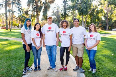 Dog day care in Chicago Illinois Fire Hydrant Pet Sitting Doggy Daycare 1