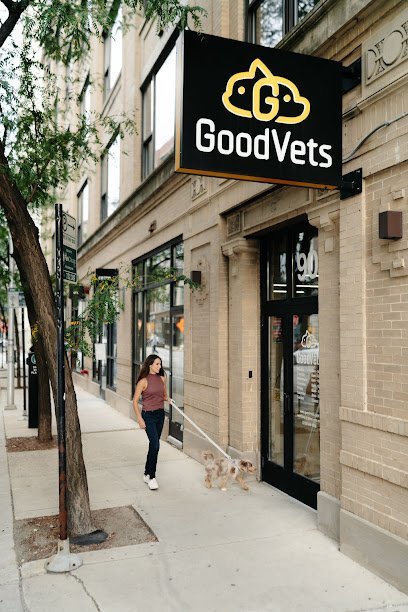 Dog day care in Chicago Illinois GoodVets West Loop 1