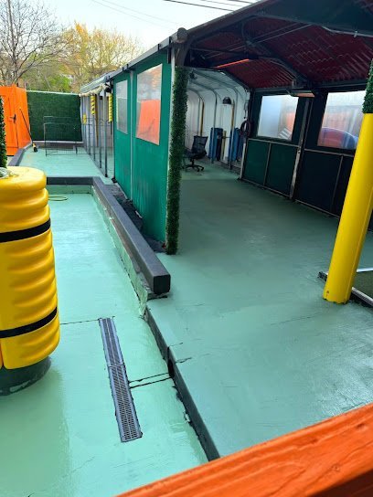 Dog day care in Chicago Illinois Green Dog Inc  1