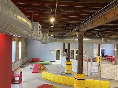 Dog day care in Chicago Illinois PLAY at Barks N  Rec 1