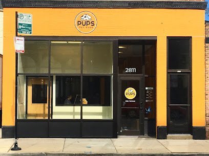 Dog day care in Chicago Illinois PUPS Pet Club 1