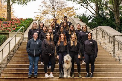 Dog day care in Chicago Illinois Paws For Walks Chicago LLC 1