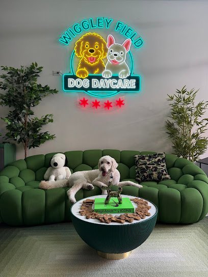 Dog day care in Chicago Illinois Wiggley Field Dog Daycare 1
