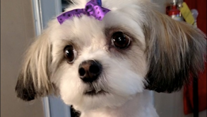 Dog day care in Chickamauga Georgia Pet Palace