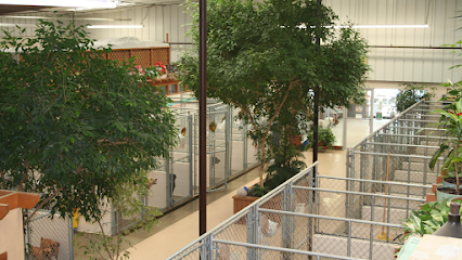 Dog day care in Cincinnati Ohio Animal Ark Pet Resort 1