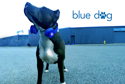 Dog day care in Cincinnati Ohio Blue Dog K9 Care 1