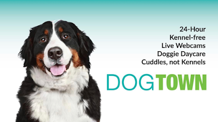 Dog day care in Cincinnati Ohio Dogtown Anderson 1