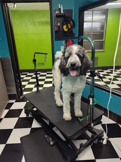 Dog day care in Cincinnati Ohio Dogtown Cincinnati Downtown 1