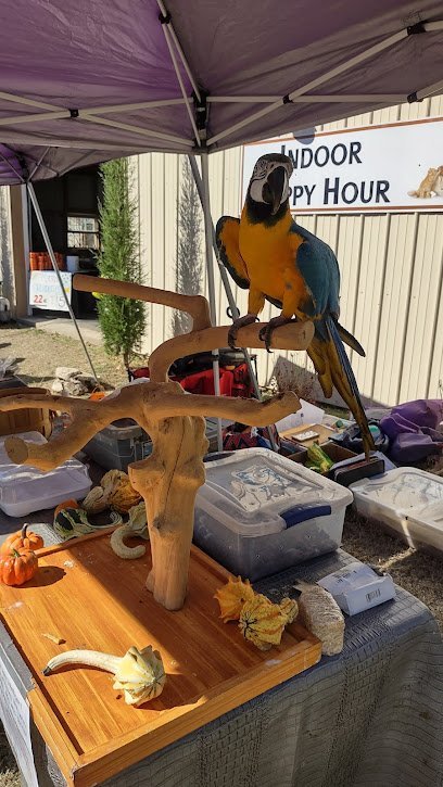 Dog day care in Claremore Oklahoma Carmik Boarding Kennel Grooming Salon 1