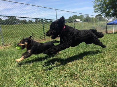 Dog day care in Clarksville Tennessee Pet Palace Doggie Day Spa Resort 1