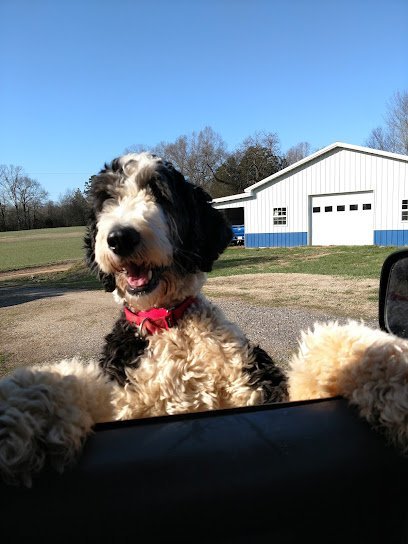 Dog day care in Clemmons North Carolina No Goats No Glory Farm and Kennel 1