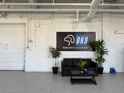 Dog day care in Cleveland Ohio Beegan K9 1